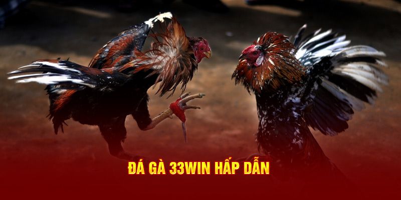 Cập Nhật Mới Nhất Về Sảnh Đá Gà 33WIN